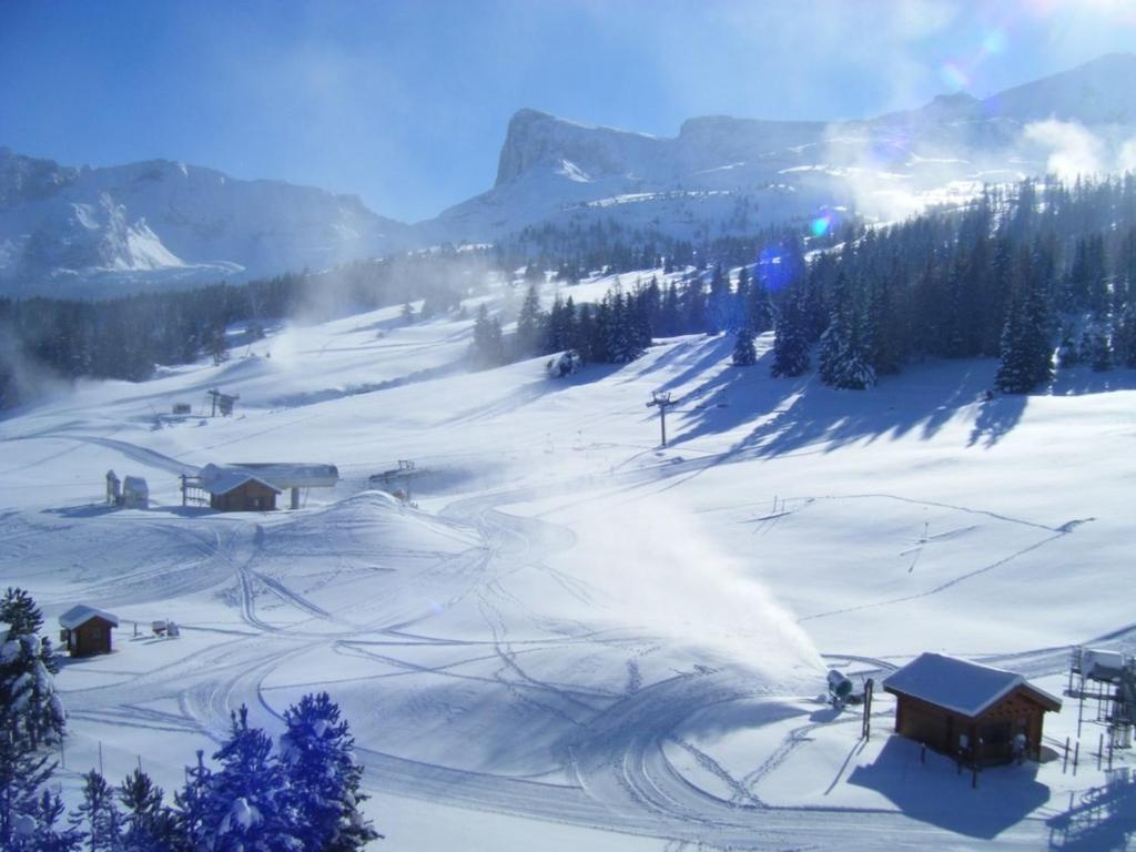 Aux Pieds Des Pistes Apartment